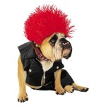 Target Dog Costume
